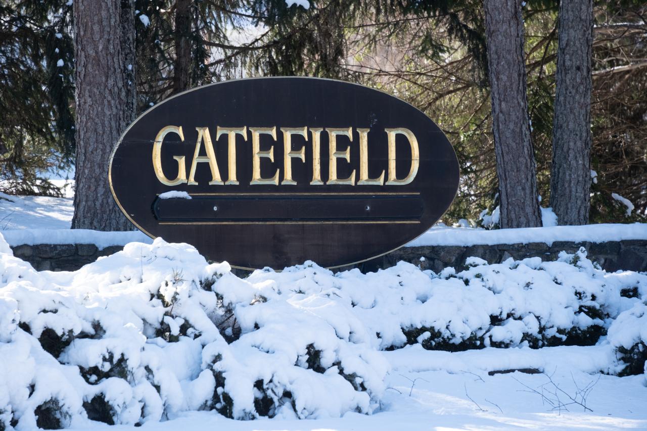 Winter morning at the Gatefield entrance