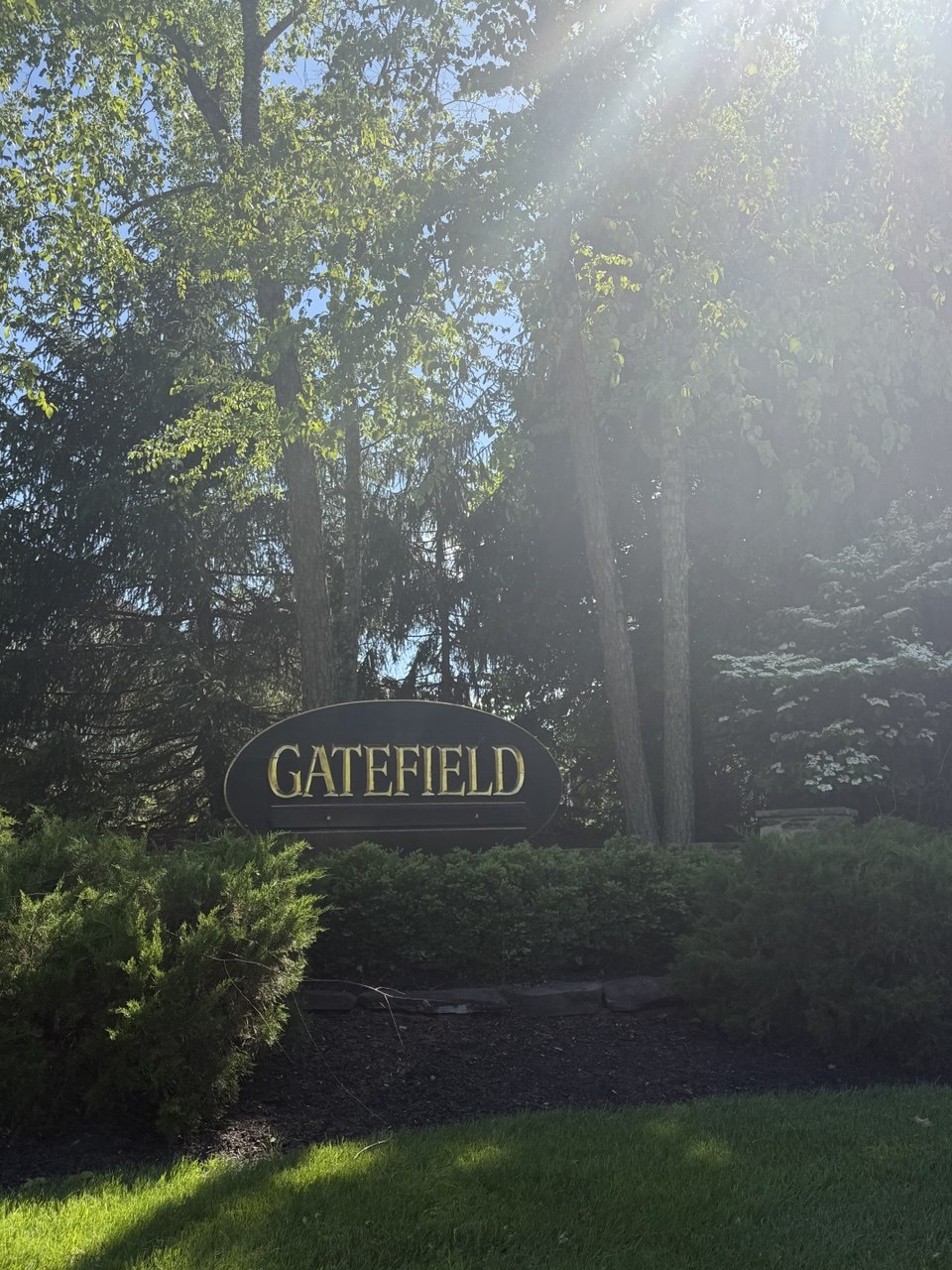 Gatefield in spring
